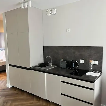 C4 Podgrzewany Basen Sauna, Nowy Revist Szklarska Διαμέρισμα